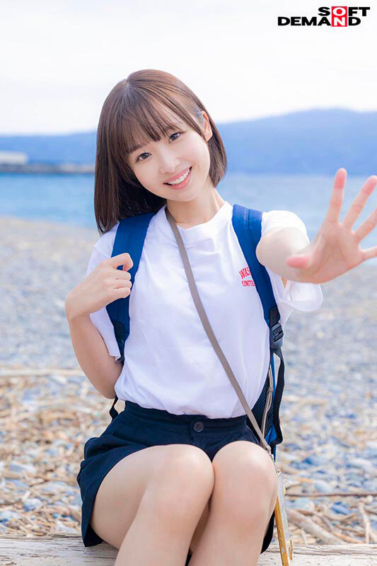 mogi-146 sample
