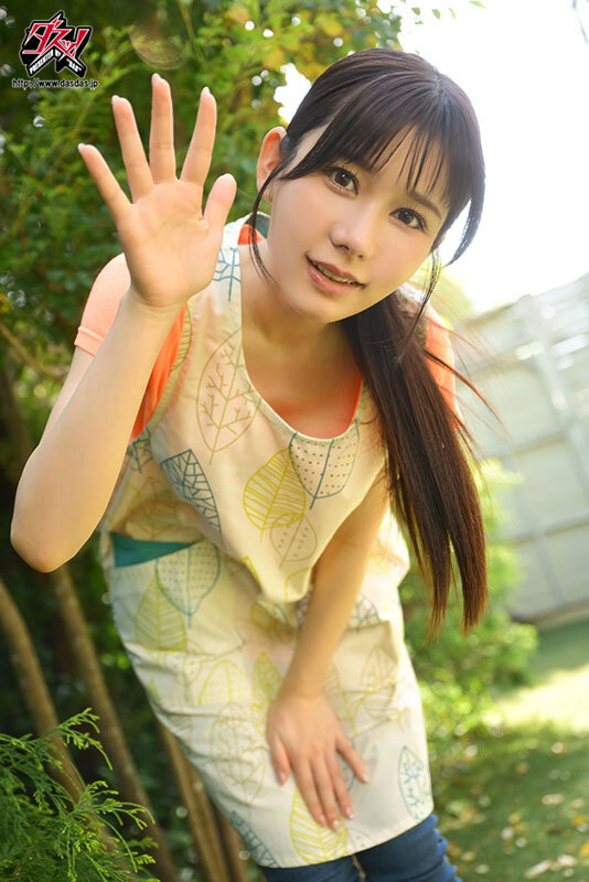 dass-739 sample
