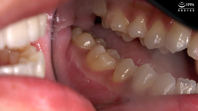 ad-2026 sample