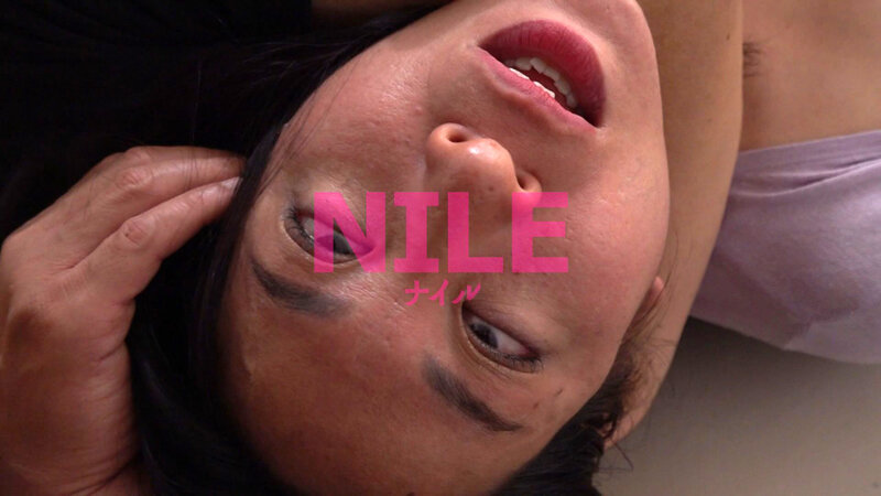 nle-023 sample