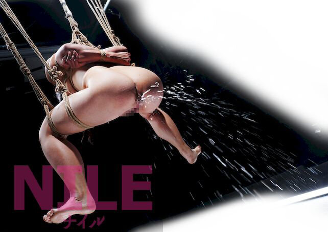 nle-030 sample