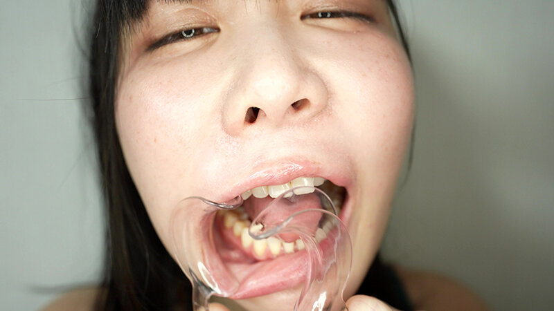 Y-455 sample