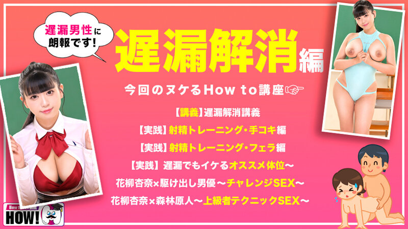 hows-016 sample