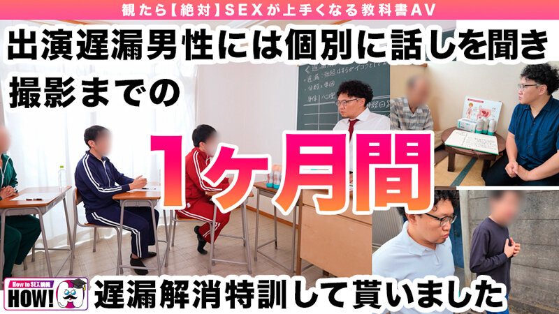 hows-016 sample