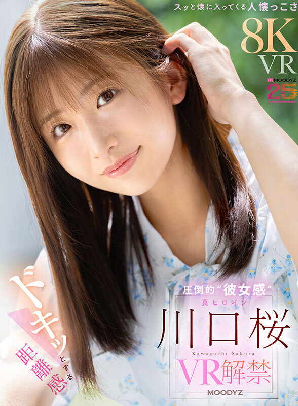 mdvr-381 sample