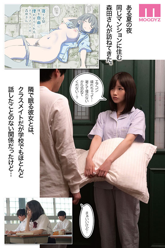 mimk-271 sample