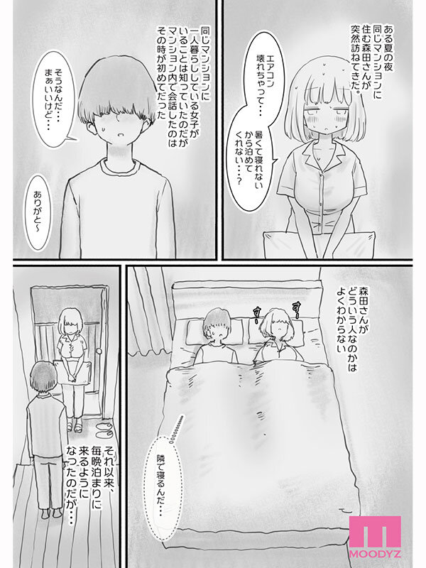 mimk-271 sample