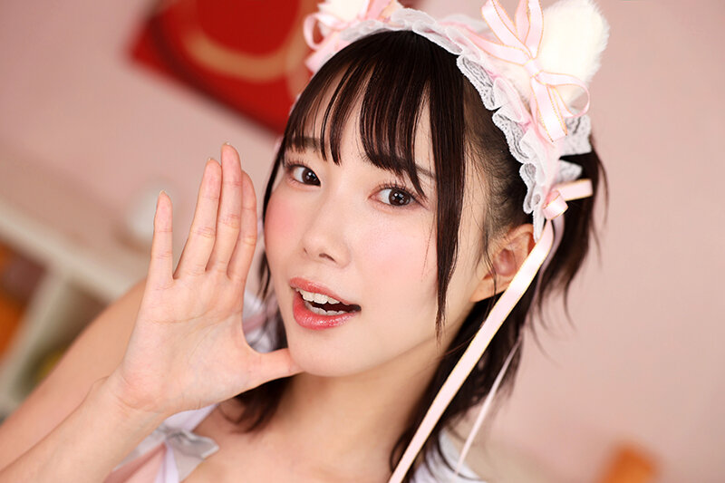 savr-938 sample