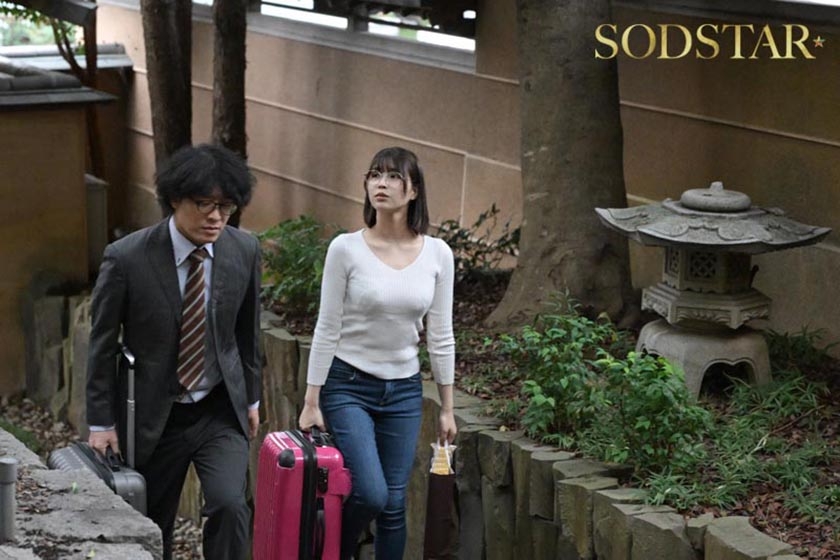 start-534 sample