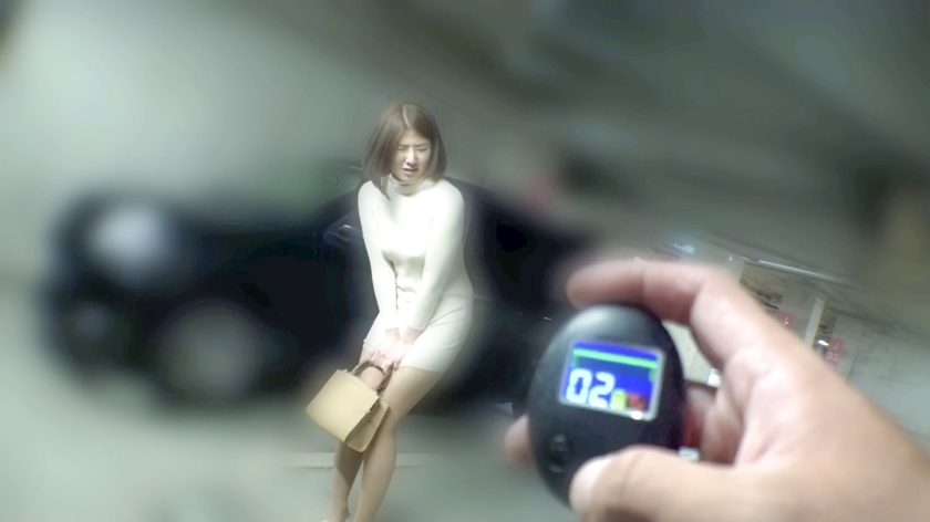 ichk-020 sample