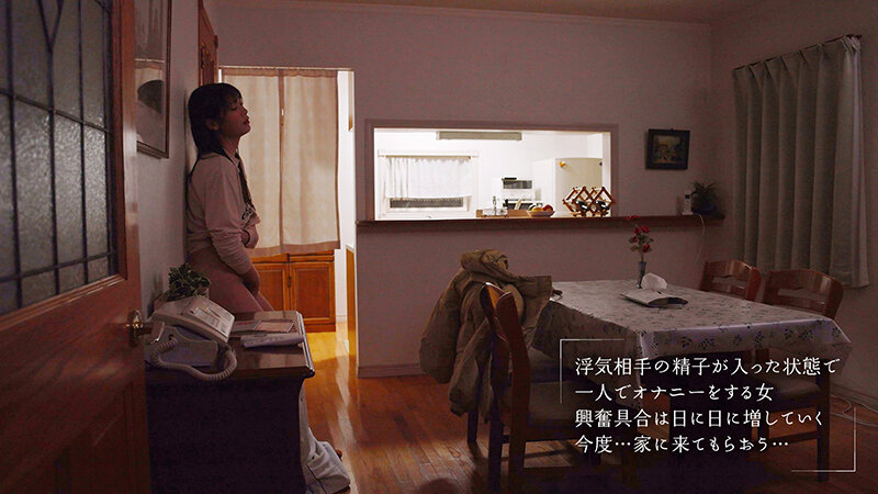 moon-040 sample