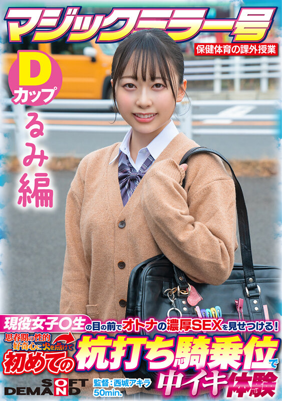 sdmm-13203 sample