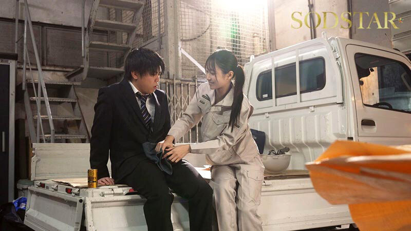 start-336 sample