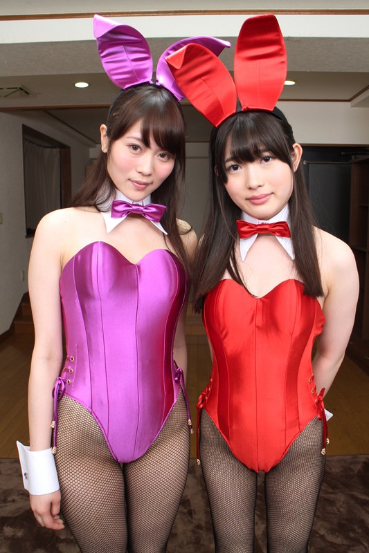 exvr-254 sample