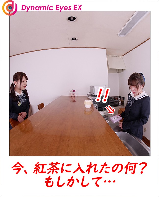 decha-006 sample
