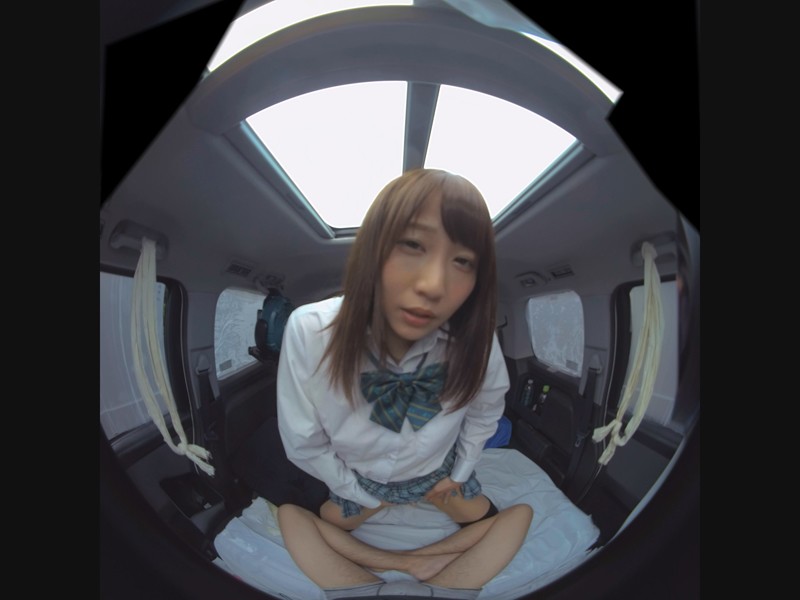 c-008 sample