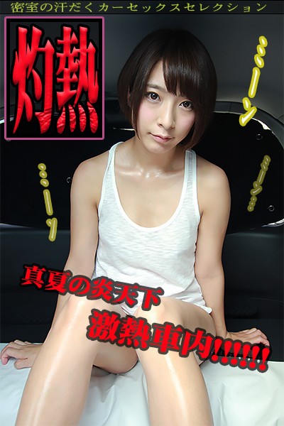 c-012 sample