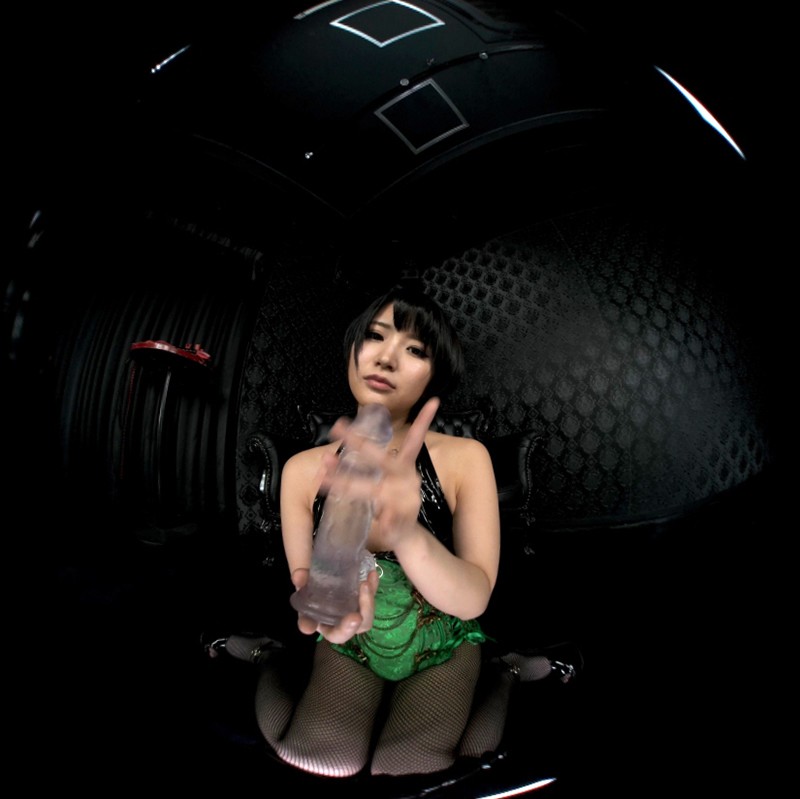 spvr-013 sample