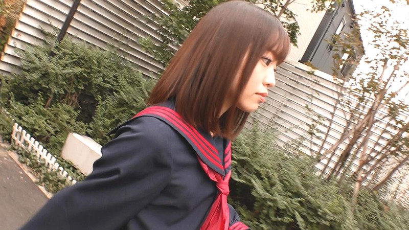 pkpd-079 sample