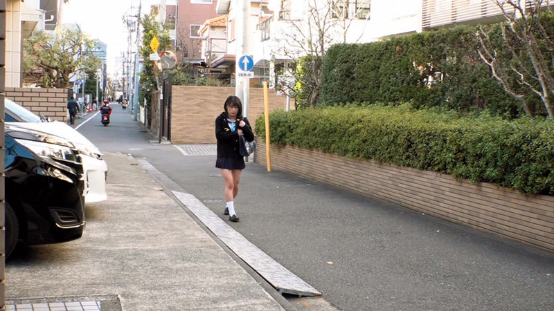 suji-158 sample