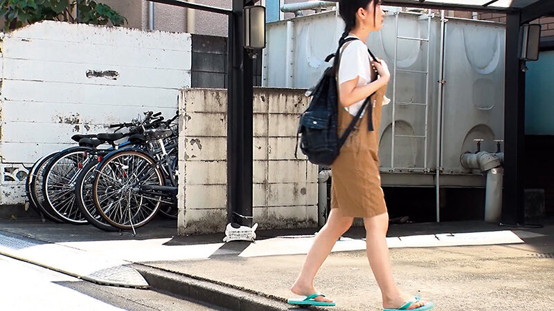 suji-221 sample