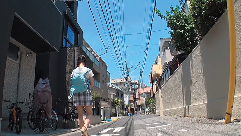 suji-263 sample