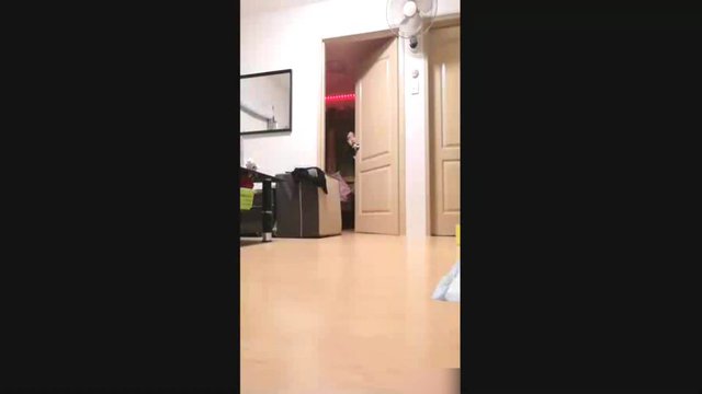 crazyasia096605 sample