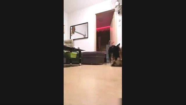 crazyasia096665 sample