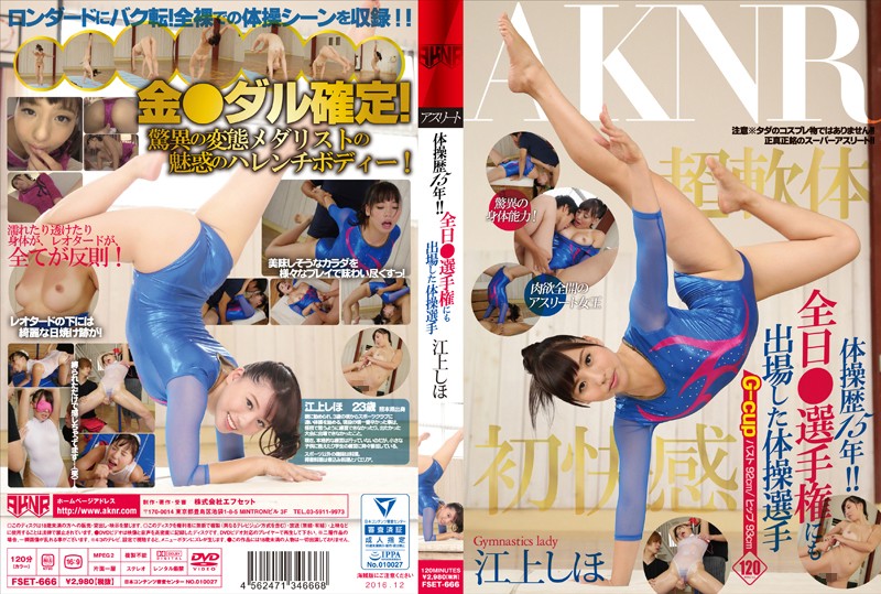 fset-666 Cover