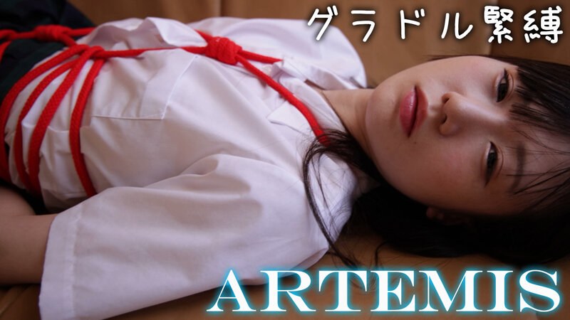 artmf-022 Cover