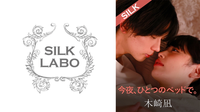 silk-20102 Cover