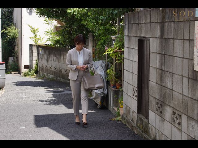 stars-730 sample