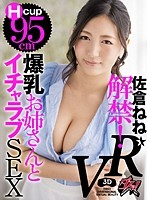 DSVR-011