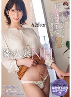 DASS-563