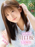 MDVR-381